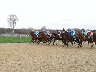 Les pronostics hippiques pour ce samedi 21 février